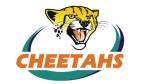 Cheetahs