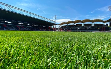 exclu-apportez-un-peu-de-gerland-dans-votre-jardin_kGguvHY.jpg